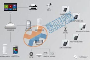 智能畜牧 農業物聯網如何引領畜禽養殖走向信息化新時代